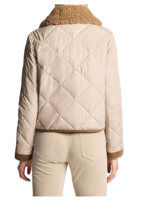  FAY | NAW22533400YNCV205